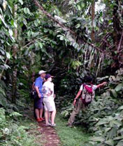 Jungle Trekking, Bali Adventure Tours