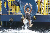 Water Slide, Bounty Day Cruise