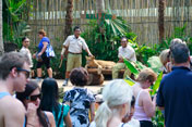 Animal Show, Bali Zoo