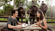 Dining with Elephant view, Bali Zoo