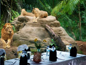 Dining with Tiger, Bali Zoo