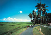 Traditional village - Mountain Cycling with Bali Rafting - The Action Plus
