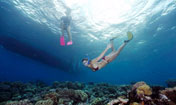 Snorkeling - Nirwana Beach Corner, Dive Center and Water Sport