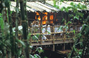 Bamboo Restaurant, Waka Land Cruise