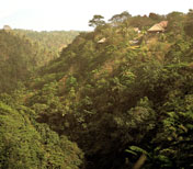 ayung River Valley, Alila Ubud