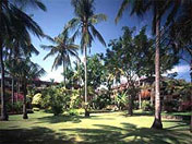 Tropical Garden, Bali Hyatt Hotel Sanur