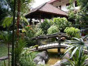 Garden -  Paradiso Seminyak Hotel Bali